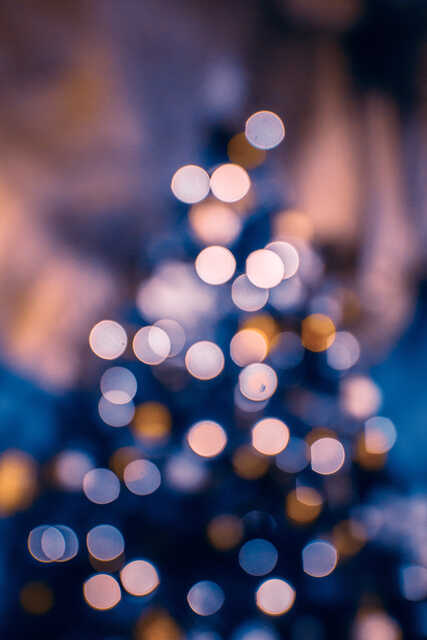 Christmas Tree lights